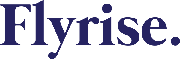Flyrise Strategy AI Services